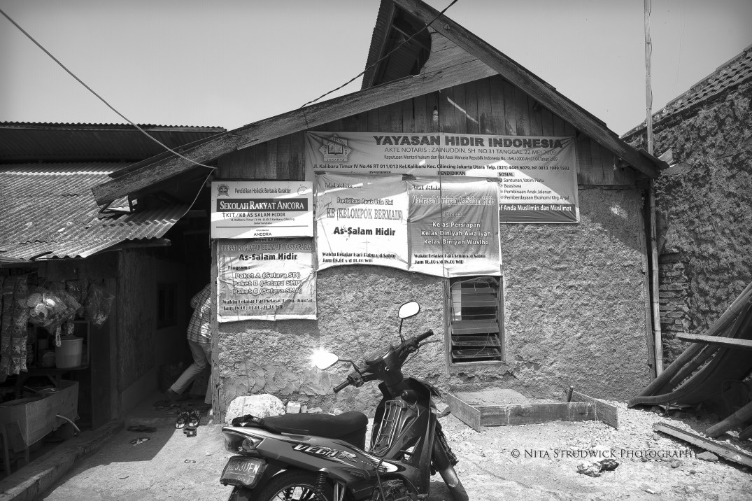 Nita Strudwick Photography