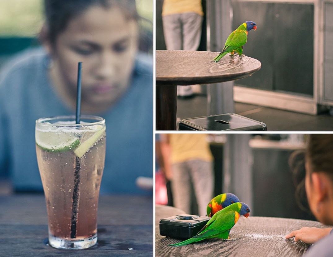 © Nita Strudwick Photography