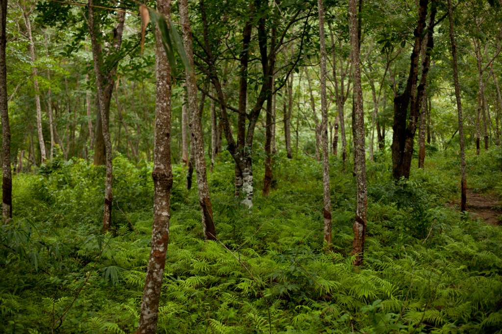 © Nita Strudwick Photography