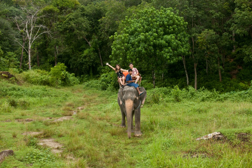 © Nita Strudwick Photography