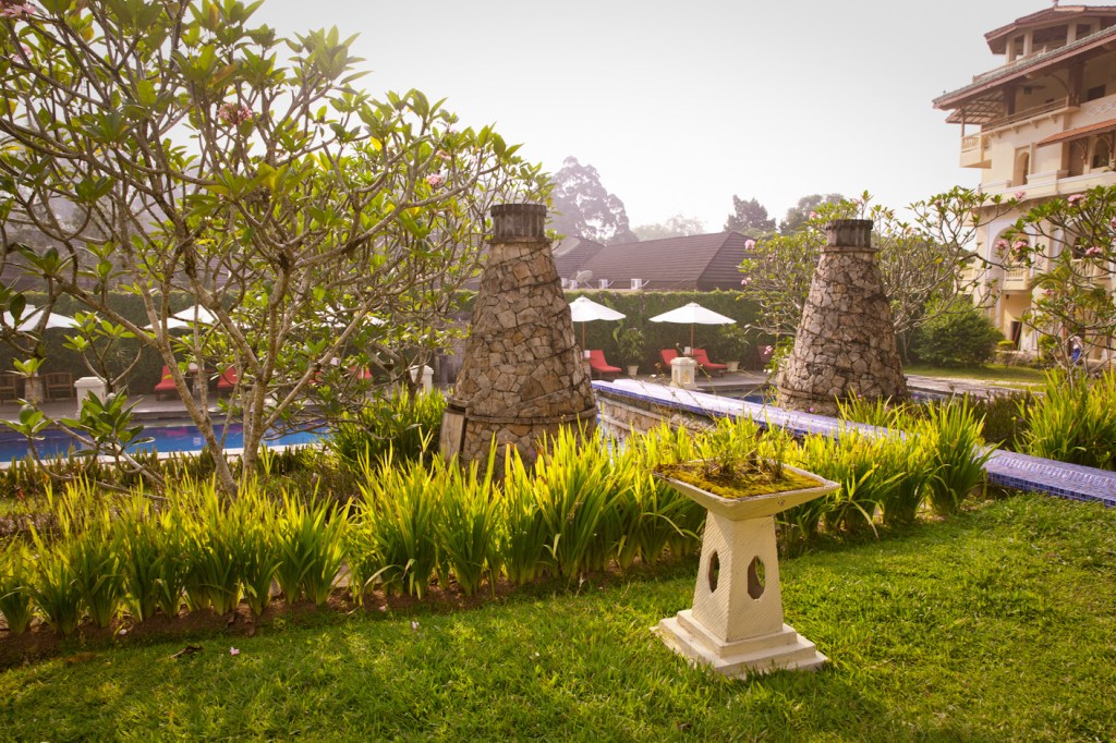 © Nita Strudwick Photography