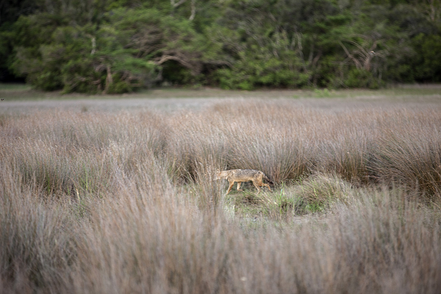 © Nita Strudwick Photography