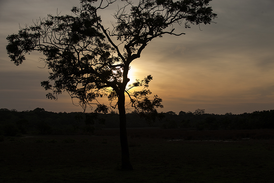 © Nita Strudwick Photography