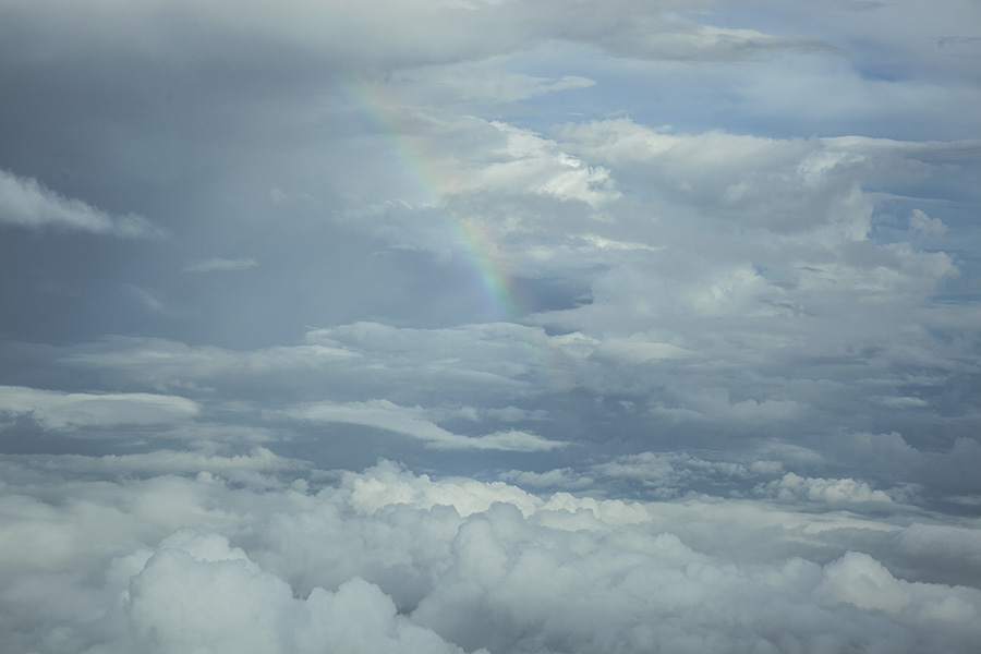 © Nita Strudwick Photography