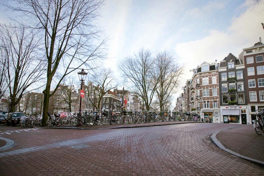 © Nita Strudwick Photography