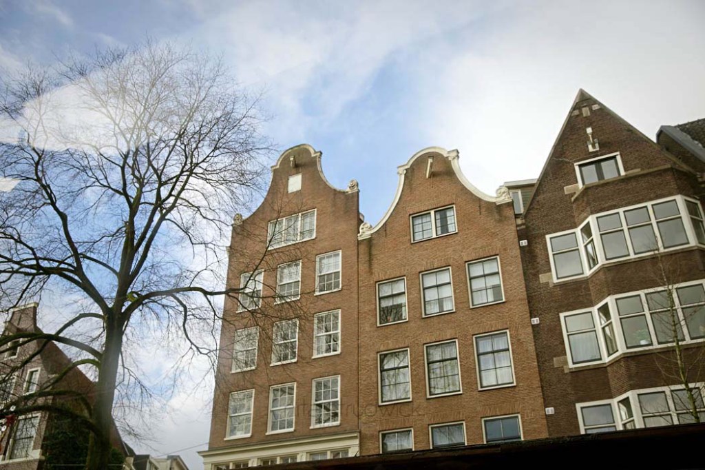 © Nita Strudwick Photography