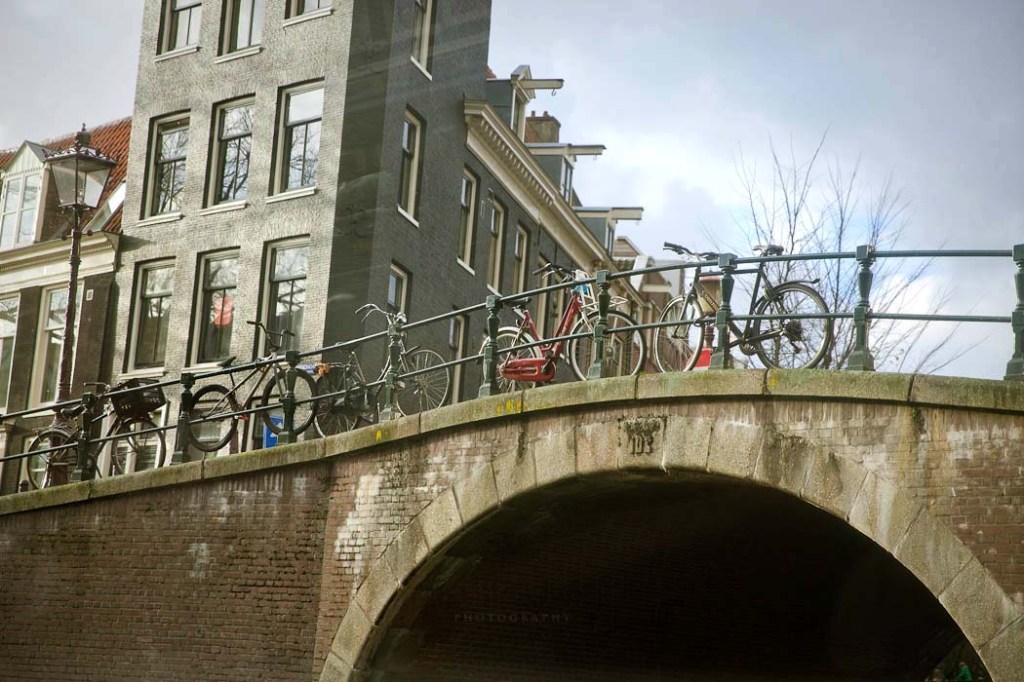 © Nita Strudwick Photography